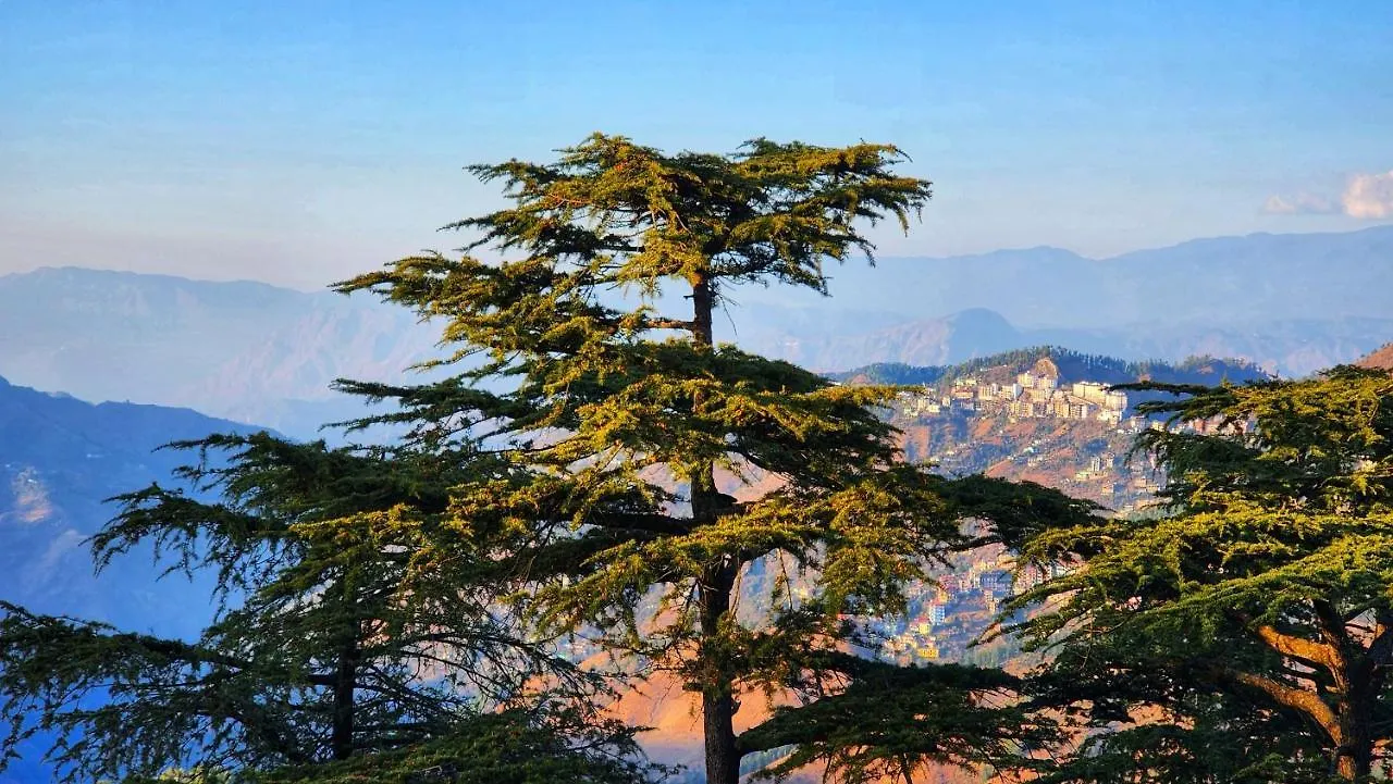 Hotel Taj Palace Near Mall Road Shimla